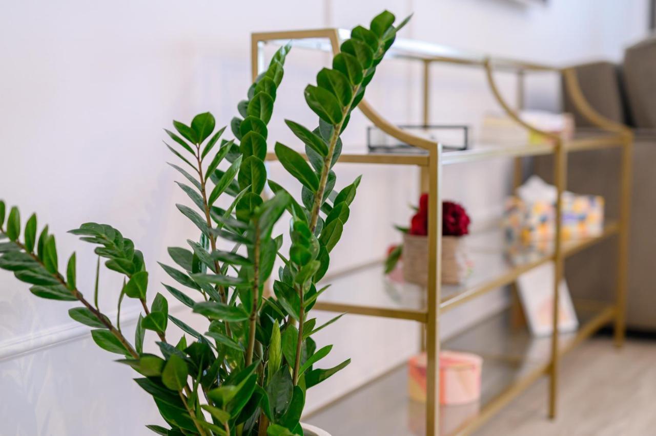 Black Pearl Loft مامايا المظهر الخارجي الصورة